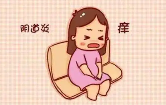 阴道炎会传染吗为何反复发作 妇科炎症中医能根治吗